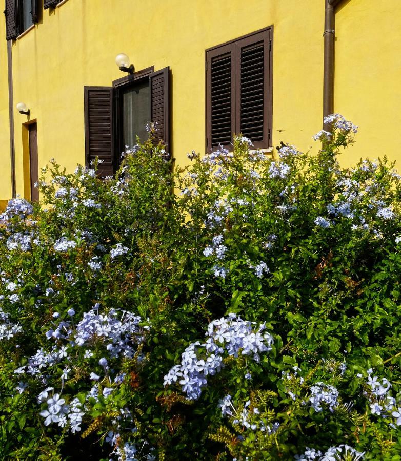 Vistazzurra B&B Ancona Exterior foto